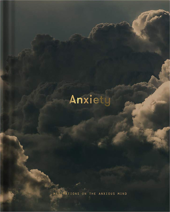 Anxiety: Meditations on the anxious mind by Alain de Botton